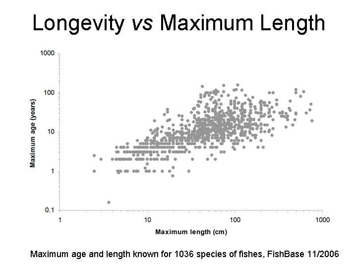 Longevity vs Maximum Length Maximum age and length known for 1036 species of fishes,