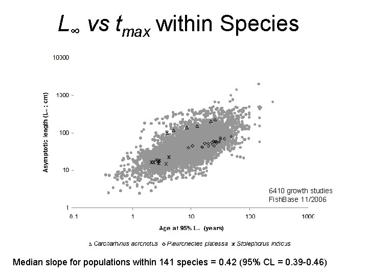 L∞ vs tmax within Species 6410 growth studies Fish. Base 11/2006 Median slope for