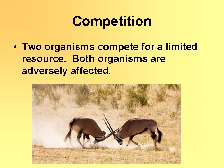 Competition • Two organisms compete for a limited resource. Both organisms are adversely affected.