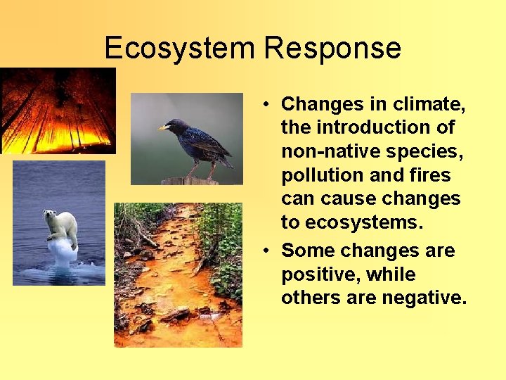 Ecosystem Response • Changes in climate, the introduction of non-native species, pollution and fires