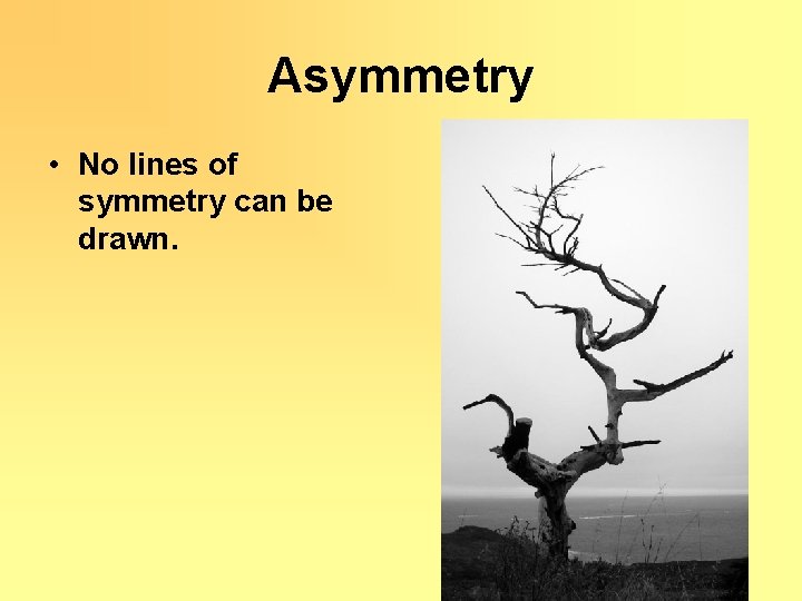 Asymmetry • No lines of symmetry can be drawn. 