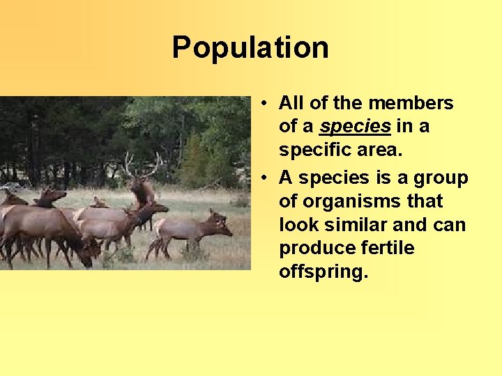 Population • All of the members of a species in a specific area. •