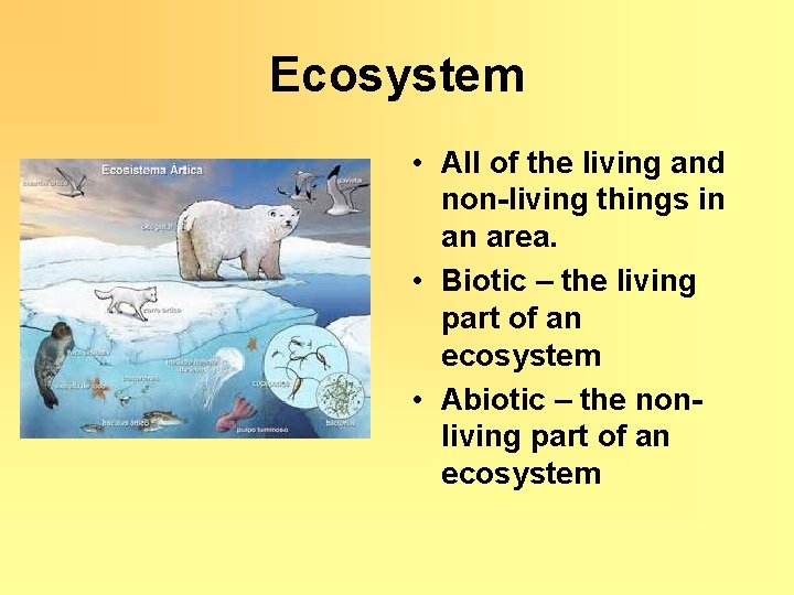 Ecosystem • All of the living and non-living things in an area. • Biotic