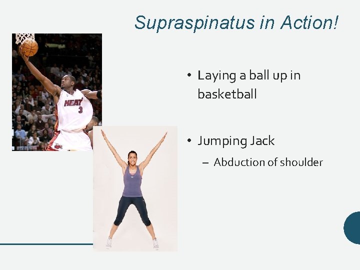 Supraspinatus in Action! • Laying a ball up in basketball • Jumping Jack – Supraspinatus in Action! • Laying a ball up in basketball • Jumping Jack –