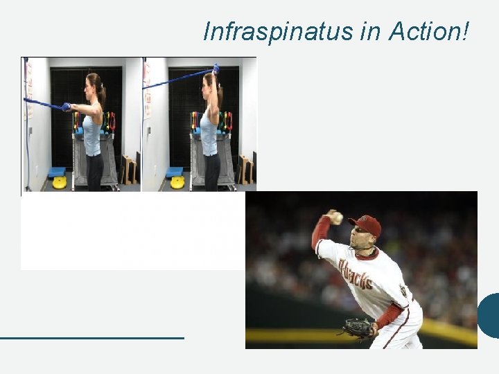 Infraspinatus in Action! Infraspinatus in Action!
