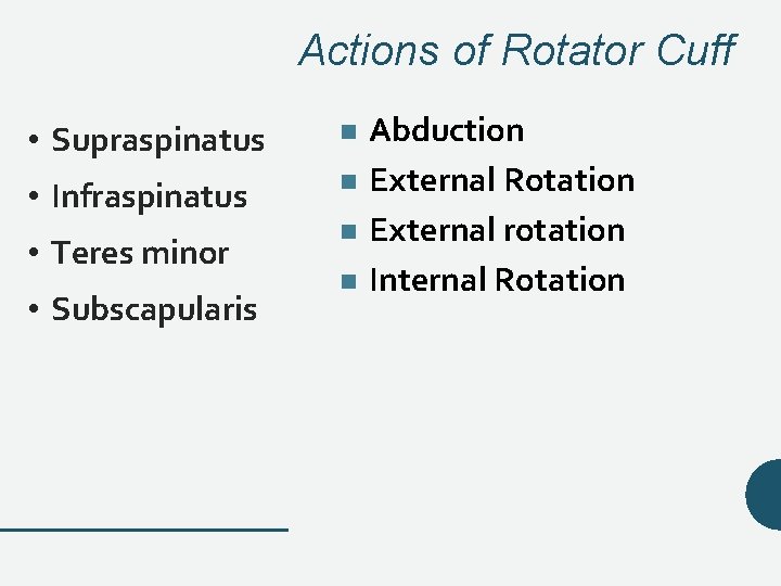 Actions of Rotator Cuff • Supraspinatus • Infraspinatus • Teres minor • Subscapularis Abduction Actions of Rotator Cuff • Supraspinatus • Infraspinatus • Teres minor • Subscapularis Abduction