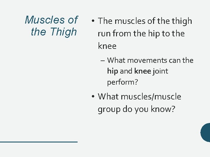 Muscles of the Thigh • The muscles of the thigh run from the hip Muscles of the Thigh • The muscles of the thigh run from the hip