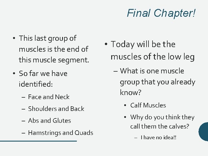 Final Chapter! • This last group of muscles is the end of this muscle Final Chapter! • This last group of muscles is the end of this muscle