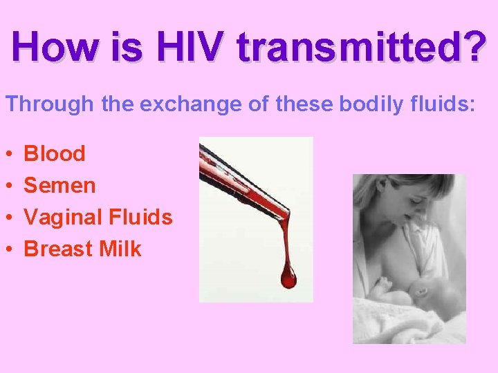 How is HIV transmitted? Through the exchange of these bodily fluids: • • Blood
