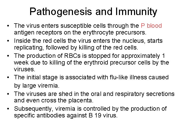 Pathogenesis and Immunity • The virus enters susceptible cells through the P blood antigen