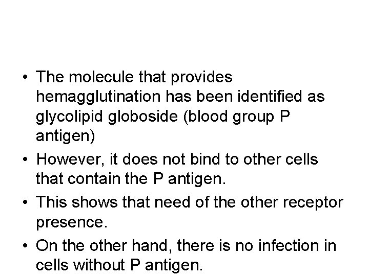  • The molecule that provides hemagglutination has been identified as glycolipid globoside (blood