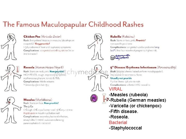 VIRAL -Measles (rubeola) -Rubella (German measles) -Varicella (or chickenpox) -Fifth disease. -Roseola. Bacterial -Staphylococcal