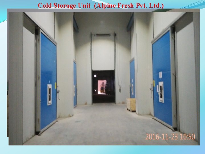 Cold Storage Unit (Alpine Fresh Pvt. Ltd. ) 