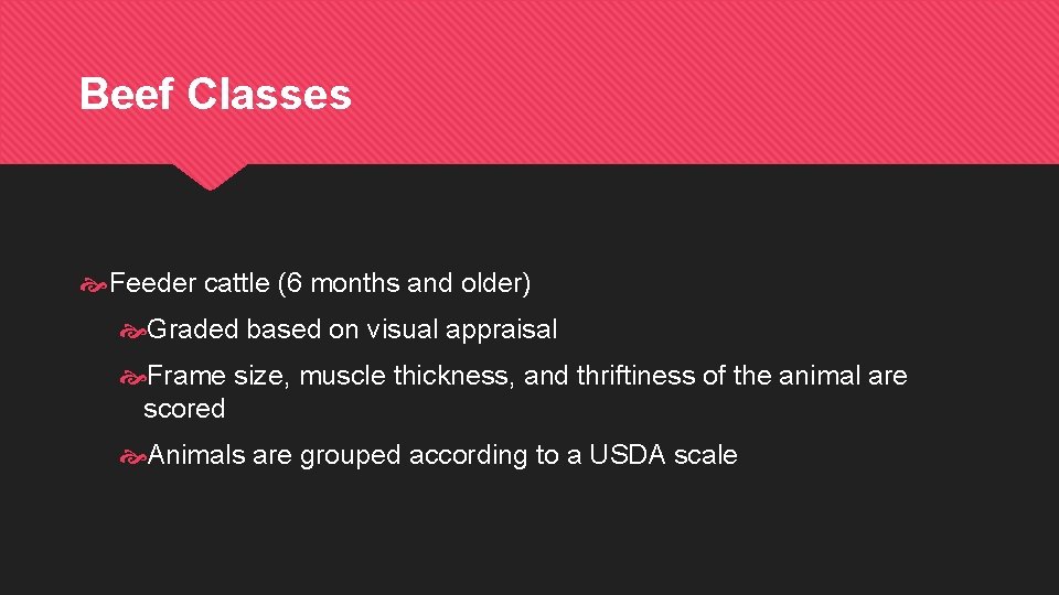 Beef Classes Feeder cattle (6 months and older) Graded based on visual appraisal Frame