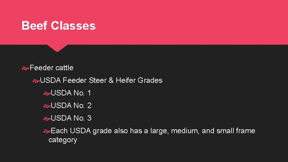 Beef Classes Feeder cattle USDA Feeder Steer & Heifer Grades USDA No. 1 USDA