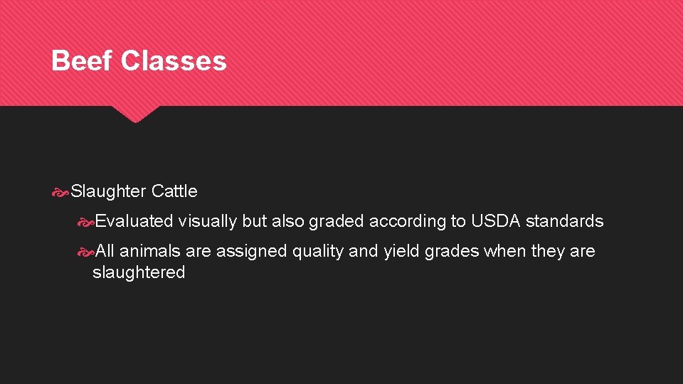 Beef Classes Slaughter Cattle Evaluated visually but also graded according to USDA standards All