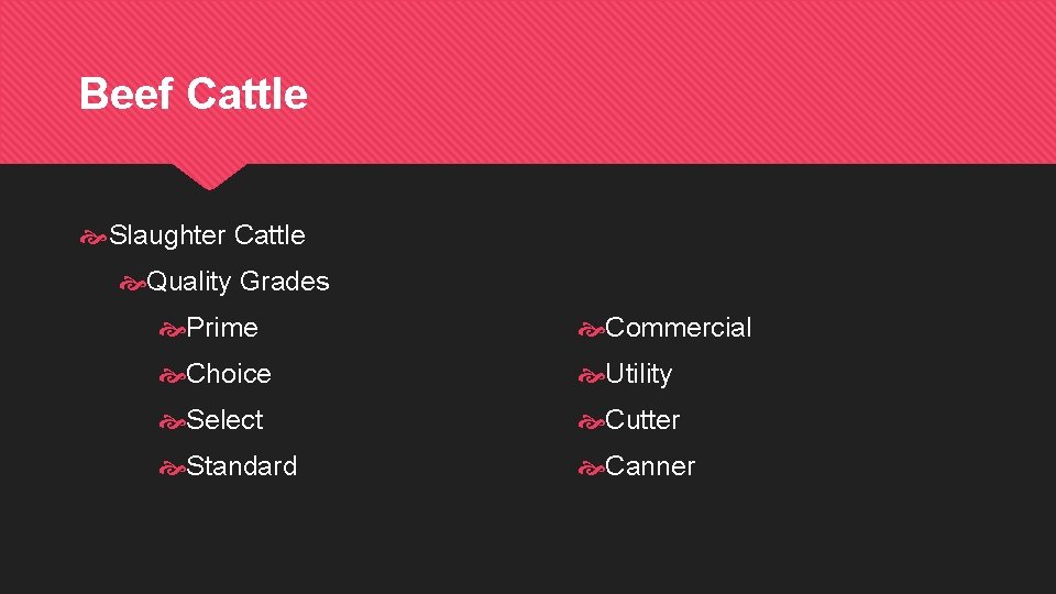 Beef Cattle Slaughter Cattle Quality Grades Prime Commercial Choice Utility Select Cutter Standard Canner