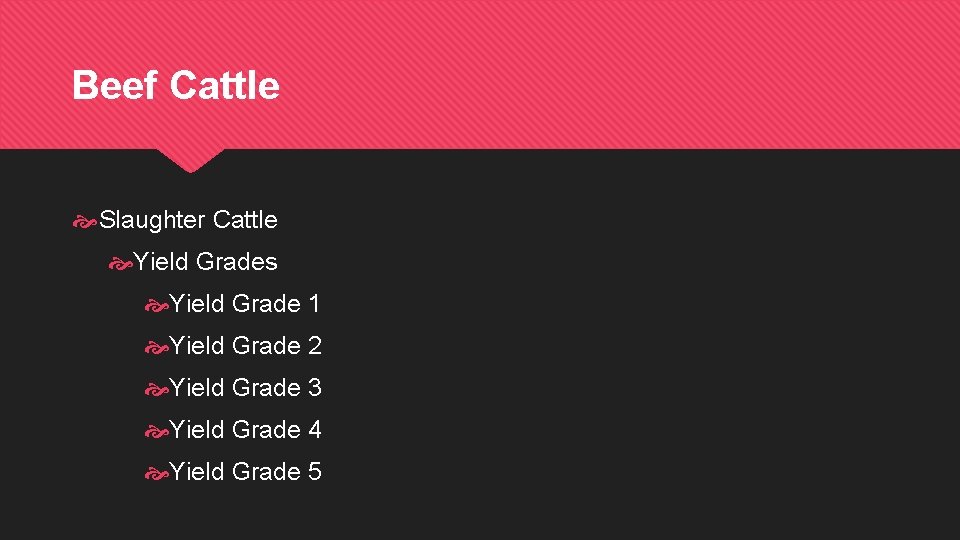 Beef Cattle Slaughter Cattle Yield Grades Yield Grade 1 Yield Grade 2 Yield Grade