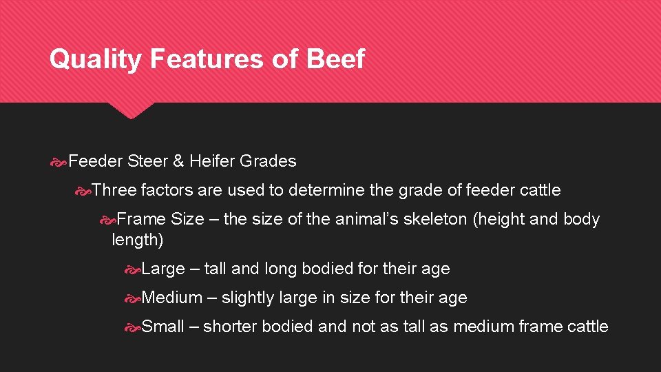 Quality Features of Beef Feeder Steer & Heifer Grades Three factors are used to