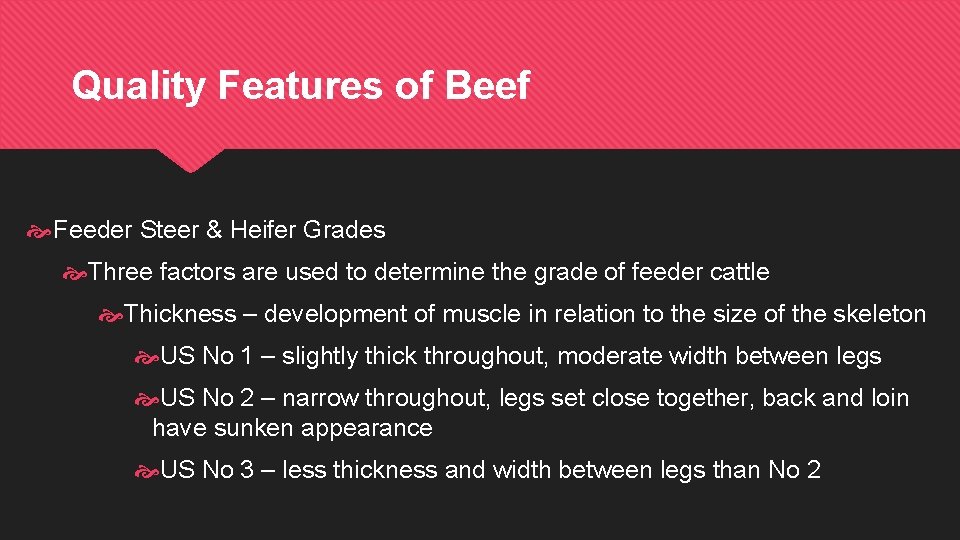 Quality Features of Beef Feeder Steer & Heifer Grades Three factors are used to