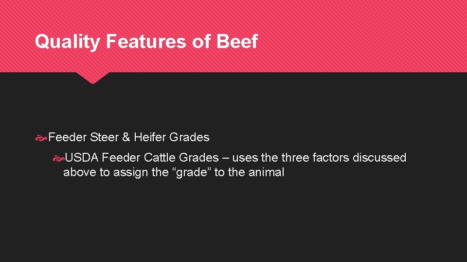 Quality Features of Beef Feeder Steer & Heifer Grades USDA Feeder Cattle Grades –