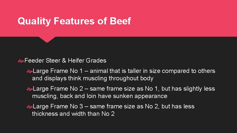 Quality Features of Beef Feeder Steer & Heifer Grades Large Frame No 1 –