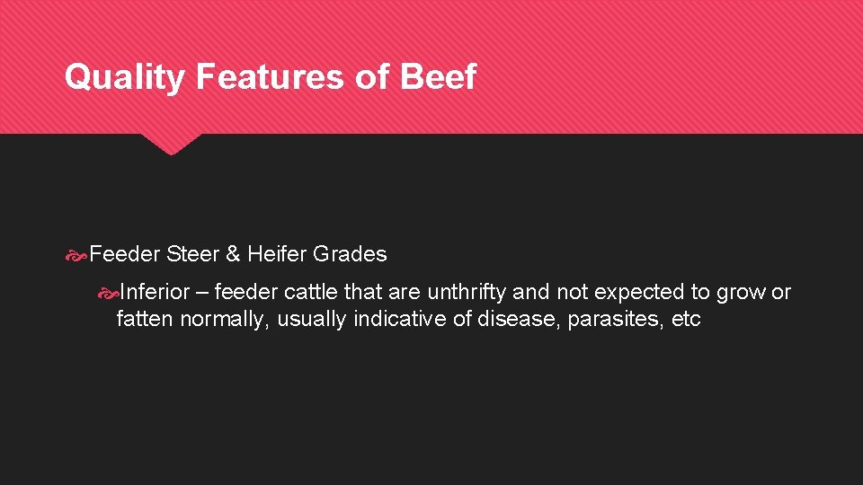 Quality Features of Beef Feeder Steer & Heifer Grades Inferior – feeder cattle that