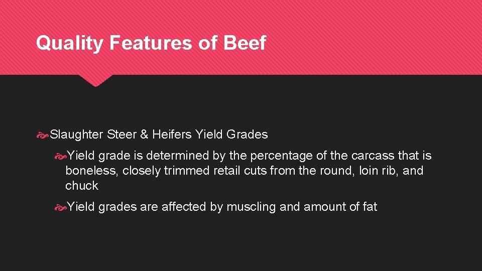 Quality Features of Beef Slaughter Steer & Heifers Yield Grades Yield grade is determined