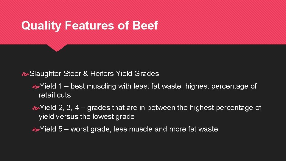 Quality Features of Beef Slaughter Steer & Heifers Yield Grades Yield 1 – best