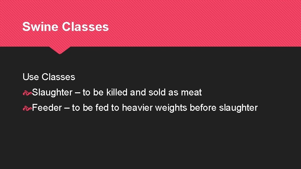 Swine Classes Use Classes Slaughter – to be killed and sold as meat Feeder