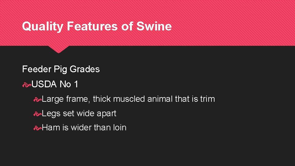 Quality Features of Swine Feeder Pig Grades USDA No 1 Large frame, thick muscled