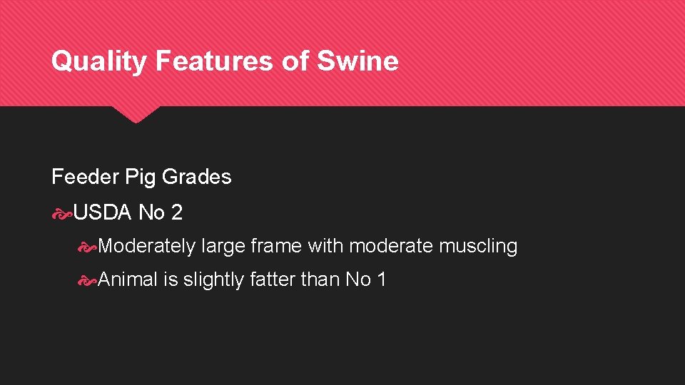 Quality Features of Swine Feeder Pig Grades USDA No 2 Moderately large frame with