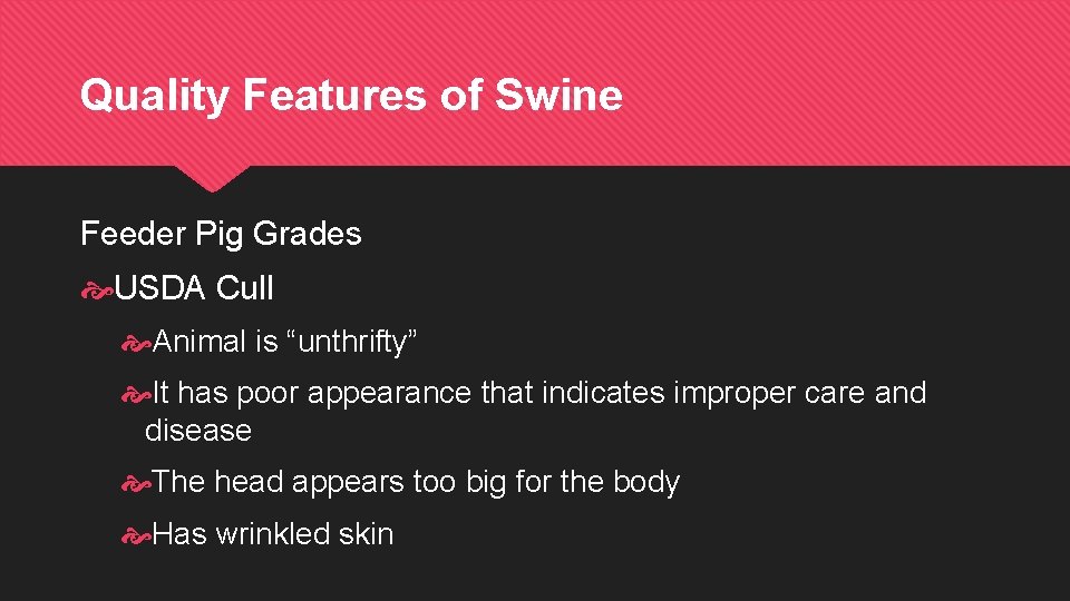 Quality Features of Swine Feeder Pig Grades USDA Cull Animal is “unthrifty” It has