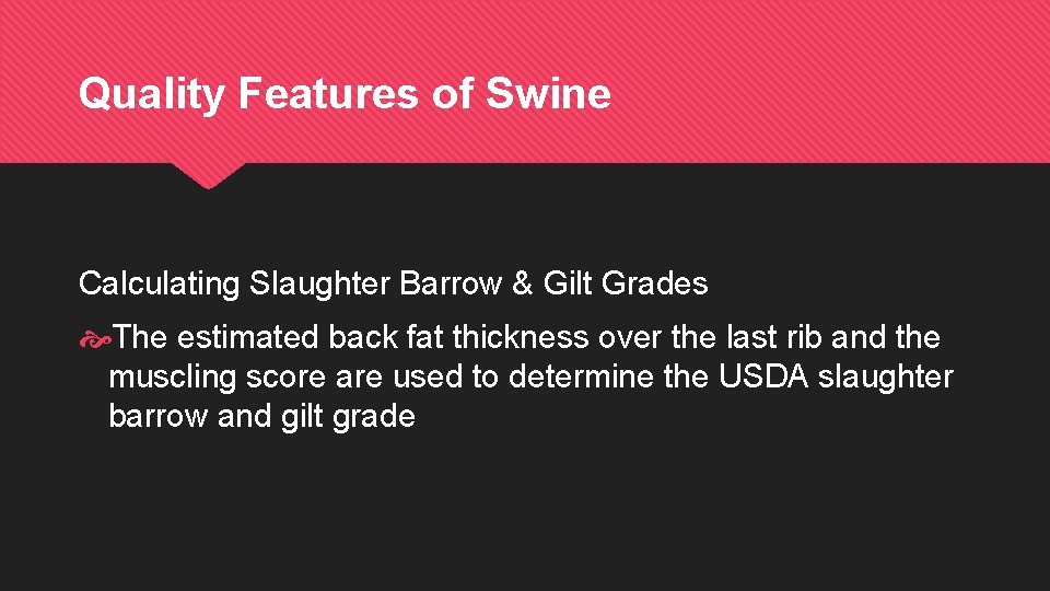 Quality Features of Swine Calculating Slaughter Barrow & Gilt Grades The estimated back fat