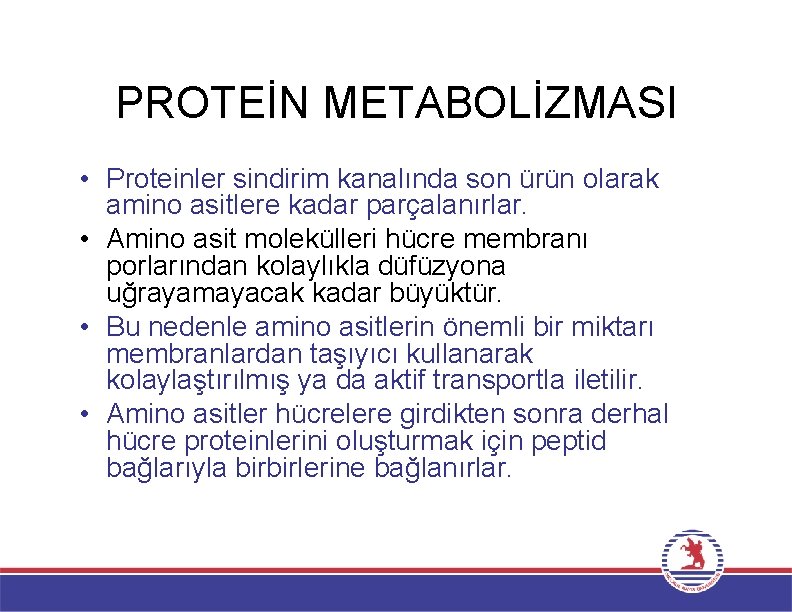 PROTEİN METABOLİZMASI • Proteinler sindirim kanalında son ürün olarak amino asitlere kadar parçalanırlar. •