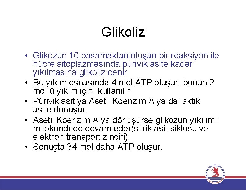 Glikoliz • Glikozun 10 basamaktan oluşan bir reaksiyon ile hücre sitoplazmasında pürivik asite kadar