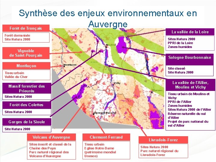 Synthèse des enjeux environnementaux en Auvergne Forêt de Tronçais La vallée de la Loire