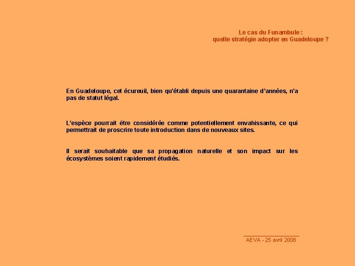 Le cas du Funambule : quelle stratégie adopter en Guadeloupe ? En Guadeloupe, cet