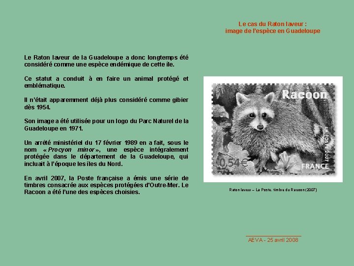 Le cas du Raton laveur : image de l’espèce en Guadeloupe Le Raton laveur
