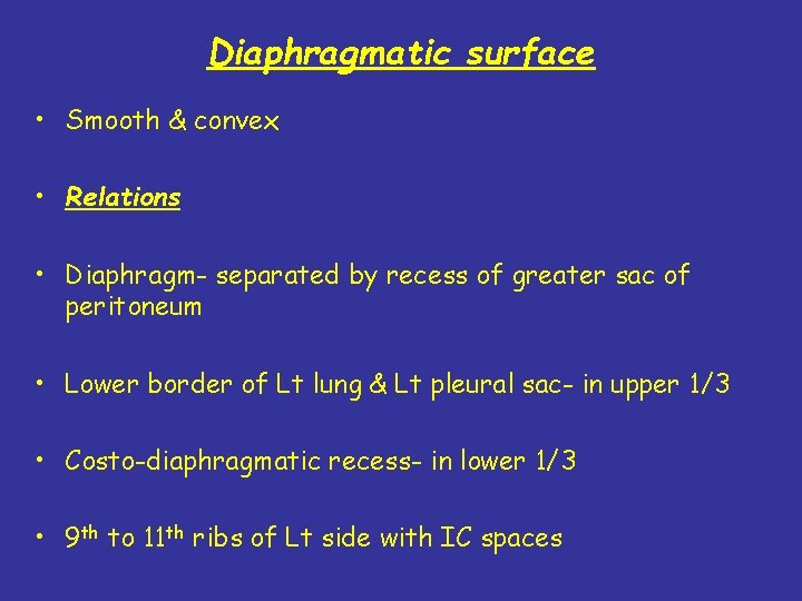 Diaphragmatic surface • Smooth & convex • Relations • Diaphragm- separated by recess of