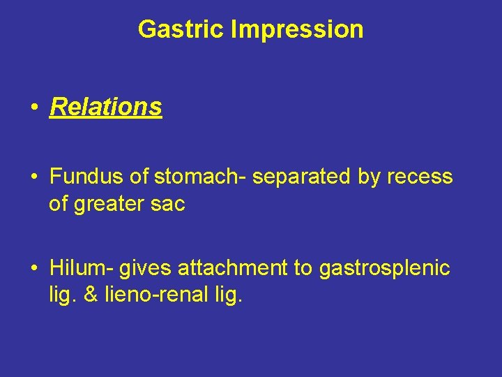 Gastric Impression • Relations • Fundus of stomach- separated by recess of greater sac