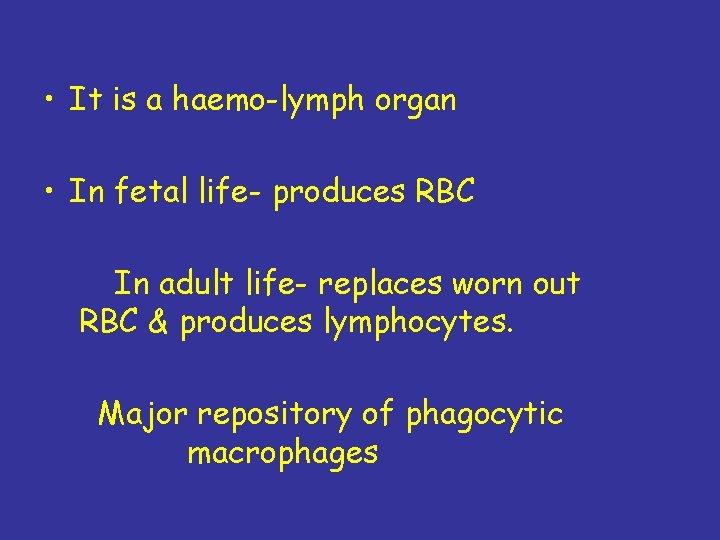  • It is a haemo-lymph organ • In fetal life- produces RBC In