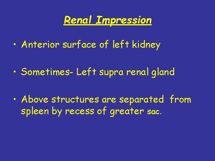 Renal Impression • Anterior surface of left kidney • Sometimes- Left supra renal gland