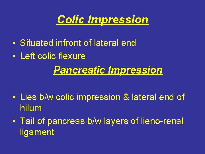 Colic Impression • Situated infront of lateral end • Left colic flexure Pancreatic Impression