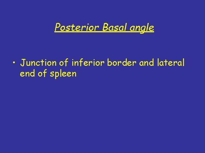 Posterior Basal angle • Junction of inferior border and lateral end of spleen 