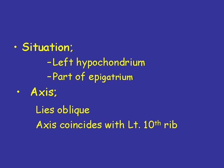  • Situation; – Left hypochondrium – Part of epigatrium • Axis; Lies oblique
