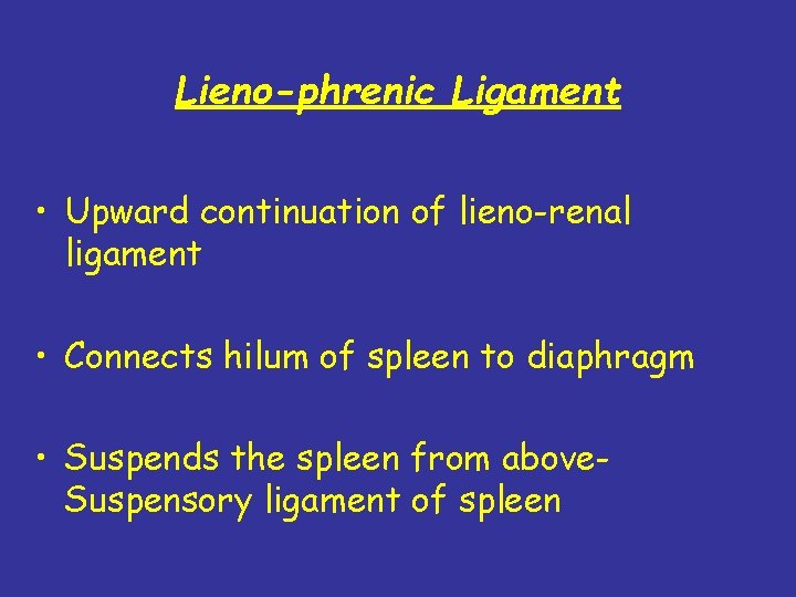 Lieno-phrenic Ligament • Upward continuation of lieno-renal ligament • Connects hilum of spleen to