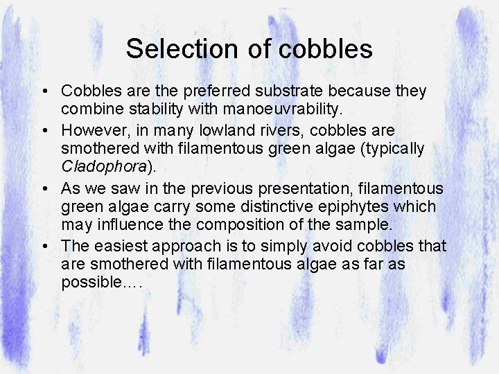 Selection of cobbles • Cobbles are the preferred substrate because they combine stability with