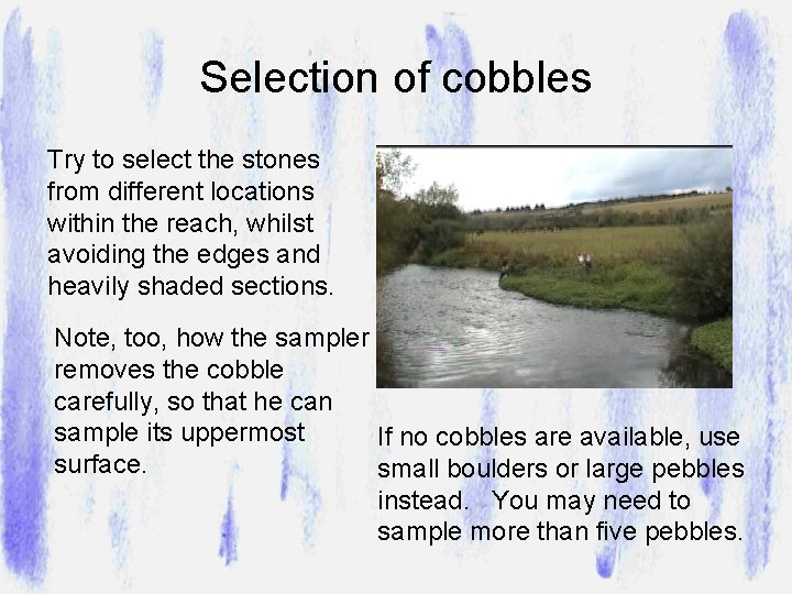 Selection of cobbles Try to select the stones from different locations within the reach,