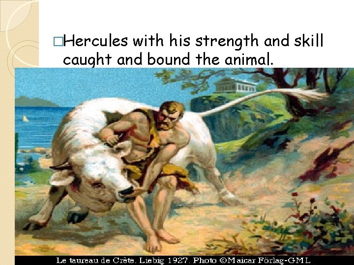 �Hercules with his strength and skill caught and bound the animal. 